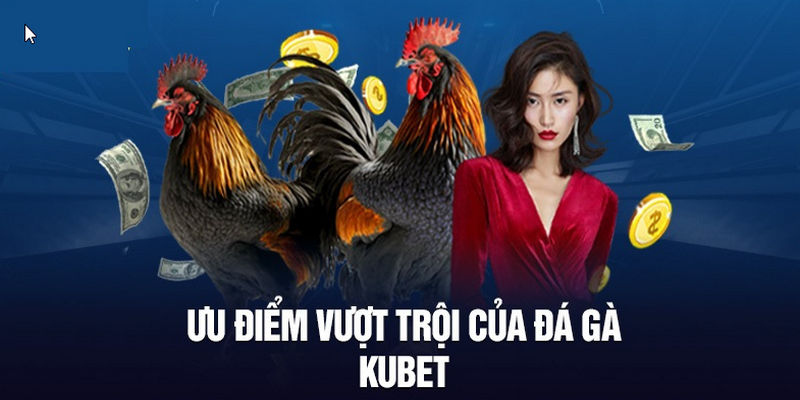 Đá gà Kubet kiếm tiền tỷ mỗi ngày